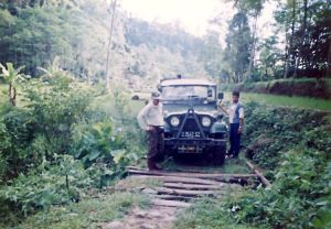 Berburu di hutan Sancang Garut selatan dengan Jeep CJ6-1974